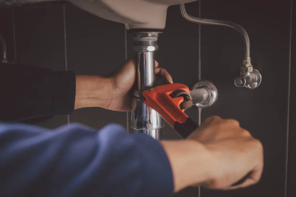 Best Plumbing Inspection Services  in Christiana, TN